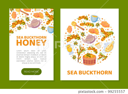 Sea Buckthorn and Honey Banner Design with Berry and Sweet Herbal Tea Vector Template 99255557