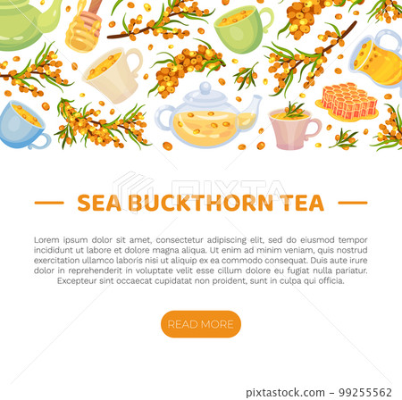 Sea Buckthorn and Honey Banner Design with Berry and Sweet Herbal Tea Vector Template 99255562