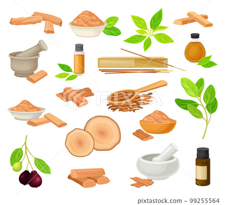 Sandalwood Sticks and Powder with Wood and Green Twig Big Vector Set 99255564