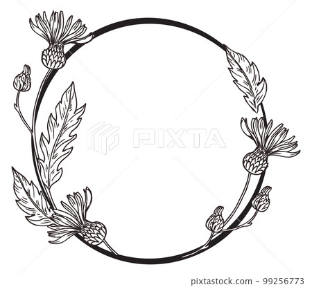 Elegant round frame with natural botany. Hand drawn flowers 99256773