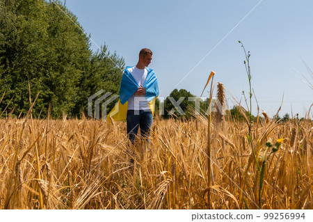 Close up Pretty slim boy with yellow-blue flag of Ukraine in wheat field. lifestyle. Kyiv Ukraine. The concept of peace, Russia's war with Ukraine. Protection, Reliability, hope. 99256994