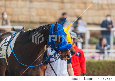 Horse racing scenery 99257352