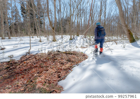 Image of spring snowshoe trekking (around Lake Onbara) 99257961