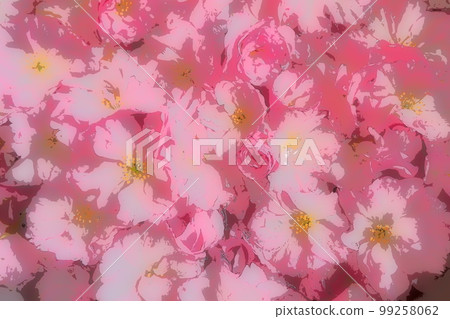 Pink flowers cherry sakura background. Flower wall illustration. Soft selective focus. Holiday postcard. Pink petals and yellow stamens.Prunus serrulata background. Blurry art. Spring cherry blossom 99258062