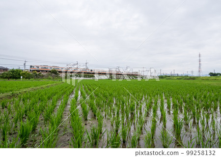 【中央本線】雨季穿越鄉間的普通列車 【中央本線】雨季穿越鄉間的普通列車 99258132