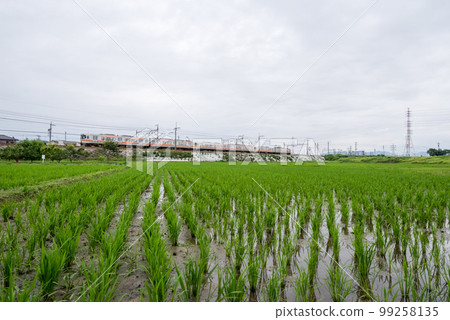 【中央本線】雨季穿越鄉間的普通列車 99258135