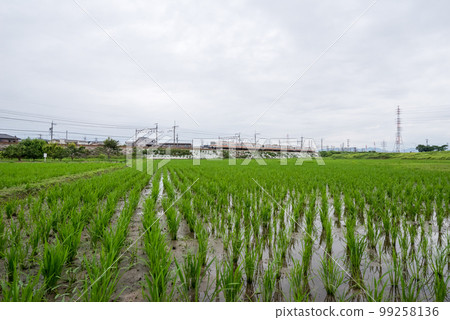 【中央本線】雨季穿越鄉間的普通列車 【中央本線】雨季穿越鄉間的普通列車 99258136