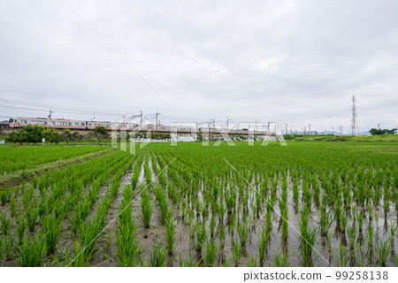 [Chuo Main Line] A local train passing through the countryside in the rainy season 99258138