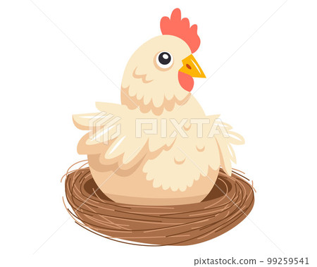 a cute white hen sits in a nest and waits for chicks. incubate bird eggs. 99259541