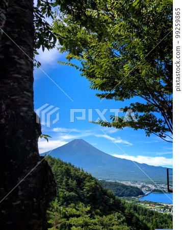 Fuji seen from the mountain 99259865