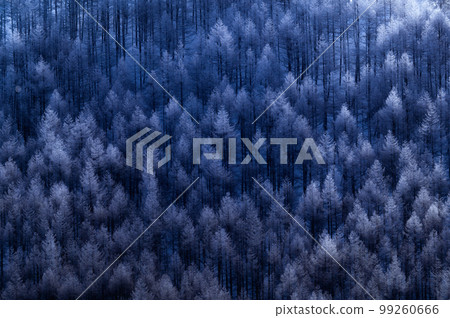 鑽石塵與霜 鑽石塵與霜 99260666