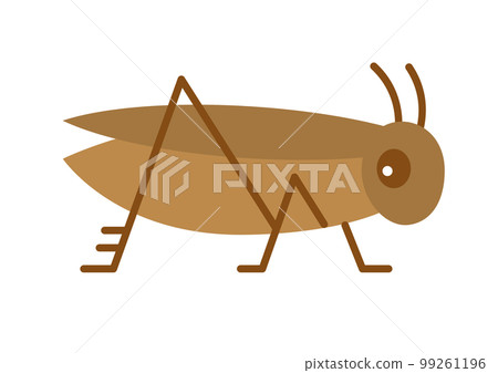 Minor design details Unpleasant simple crickets insect food 99261196