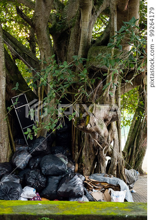 Trash inside huge tree. Garbage pile. Environmental pollution concept. Unauthorized landfill. Trash inside huge tree. Garbage pile. Environmental pollution concept. Unauthorized landfill. 99264179