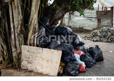 Trash inside huge tree. Garbage pile. Environmental pollution concept. Unauthorized landfill. Trash inside huge tree. Garbage pile. Environmental pollution concept. Unauthorized landfill. 99264180