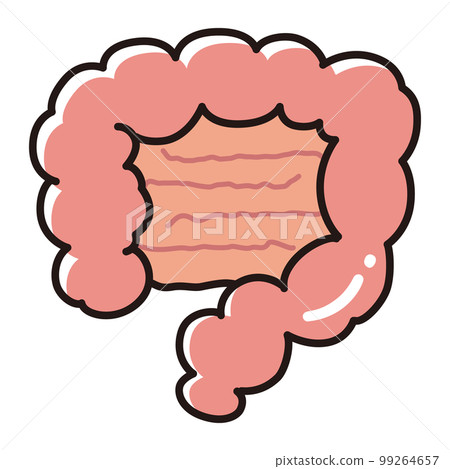 腸的插圖(大腸/小腸) 腸的插圖(大腸/小腸) 99264657