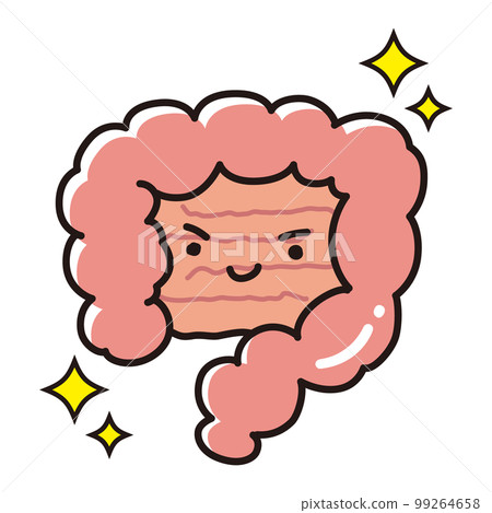乾淨健康的腸道（大腸/小腸）特徵的插圖 99264658