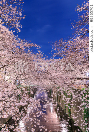 東京_目黑川之夜櫻花美景 東京_目黑川之夜櫻花美景 99265701