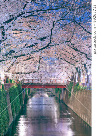 東京_目黑川之夜櫻花美景 東京_目黑川之夜櫻花美景 99265712