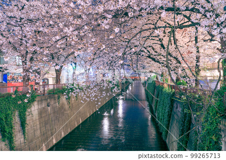 東京_目黑川之夜櫻花美景 99265713
