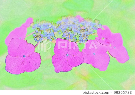 適合雨季的插圖繡球花4 適合雨季的插圖繡球花4 99265788