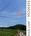 稻田 99266456