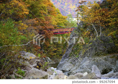 "Futami Suspension Bridge" and autumn leaves in Jozankei, Hokkaido 99267094