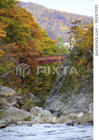"Futami Suspension Bridge" and autumn leaves in Jozankei, Hokkaido "Futami Suspension Bridge" and autumn leaves in Jozankei, Hokkaido 99267095