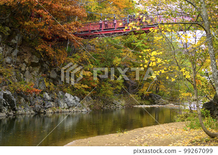 北海道定山溪的“二見吊橋”和紅葉 99267099