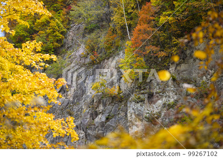 Autumn leaves of Hokkaido Jozankei "Kappafuchi Park" Autumn leaves of Hokkaido Jozankei "Kappafuchi Park" 99267102
