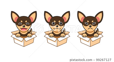 Vector cartoon illustration set of chihuahua dog showing different emotions in cardboard boxes 99267127