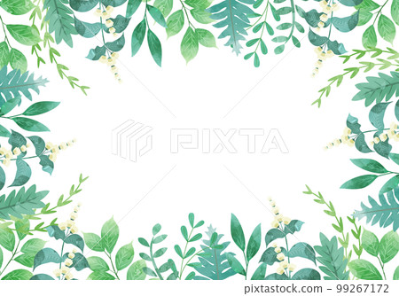葉植物矢量插圖框架背景 99267172