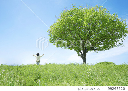 A child standing on a grassy plain with a single tree Clean energy, environmental problems, ecology, and global warming image 99267320