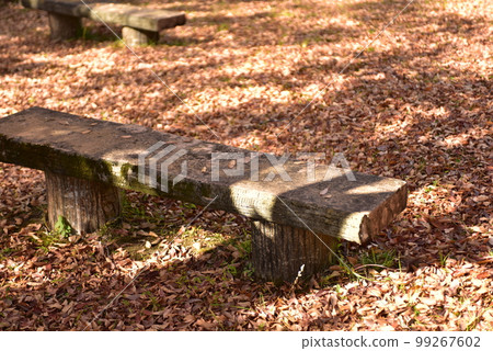 Park bench Park bench 99267602