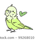 Cute sexi parakeet Cute sexi parakeet 99268010