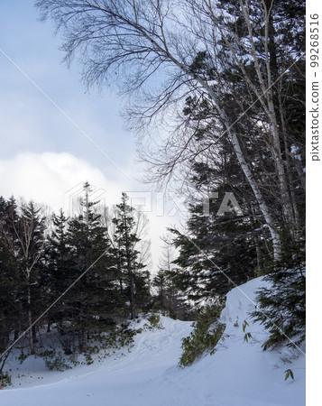 Scenery of a ski resort with a blue sky Scenery of a ski resort with a blue sky 99268516