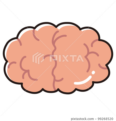 Brain illustration Brain illustration 99268520