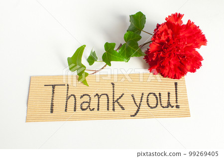 Red carnation Thank you message Red carnation Thank you message 99269405