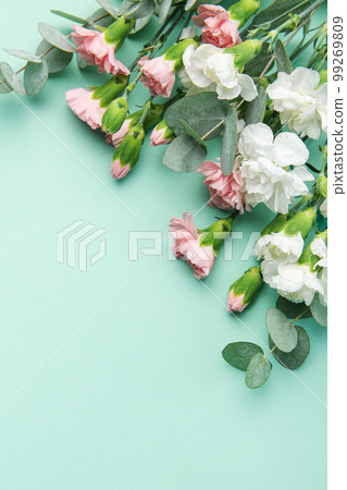 A bouquet of white and pink carnations with eucalyptus branches on a soft green background. 99269809