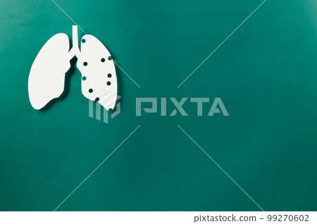 World tuberculosis day. Lungs paper cutting decorative symbol on green background, copy space, concept of world TB day, no tobacco, banner background, respiratory, lung cancer awareness, 24 March 99270602