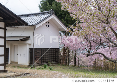 Shinshu Takato Castle Ruins Cherry Blossoms 99271176