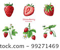 Hand drawn transparent background strawberry illustration 99271469