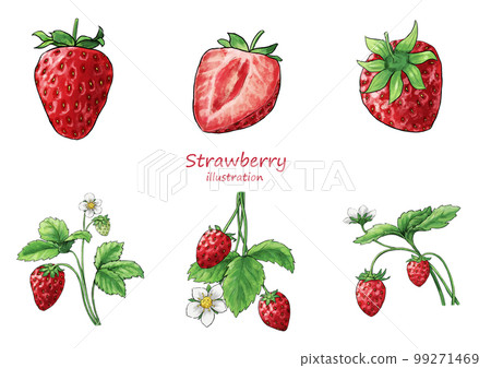 Hand drawn transparent background strawberry illustration 99271469