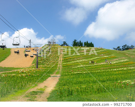 琵琶湖箱館山百合園和琵琶湖景觀，滋賀縣高島市百合園，函館山百合園纜車和琵琶湖 99271700