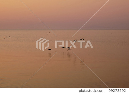 景觀素材:琵琶湖水面與美麗的日出 景觀素材:琵琶湖水面與美麗的日出 99272292