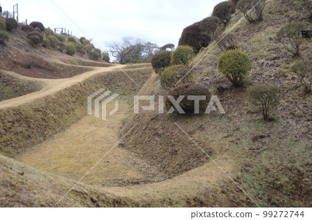 "Shoji digging" at Yamanaka Castle (Yamanaka Shinden, Mishima City, Shizuoka Prefecture) 99272744