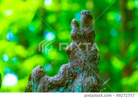 Root of arachis 99272757