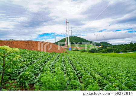Windy Hill Changjuk-dong 太白市江原道 99272914