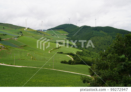 Windy Hill Changjuk-dong Taebaek-si Gangwon-do Windy Hill Changjuk-dong Taebaek-si Gangwon-do 99272947