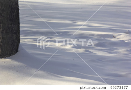 Winter landscape . Snowy winter . White snow with snowdrift shadows 99273177