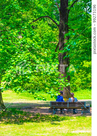 Fresh green of tulip tree and a couple 99273196